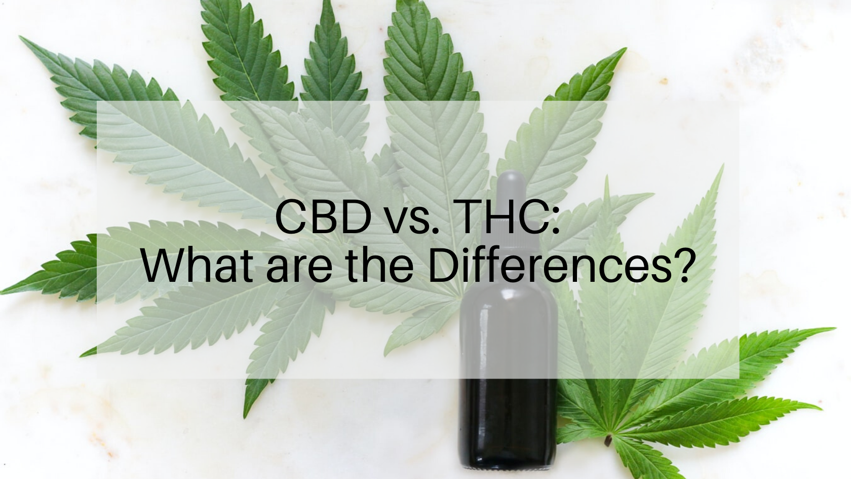 CBD vs. THC: What are the Differences?